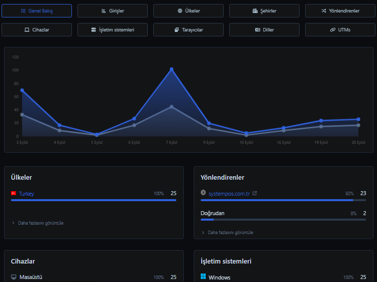 Screenshot of a store analytics view